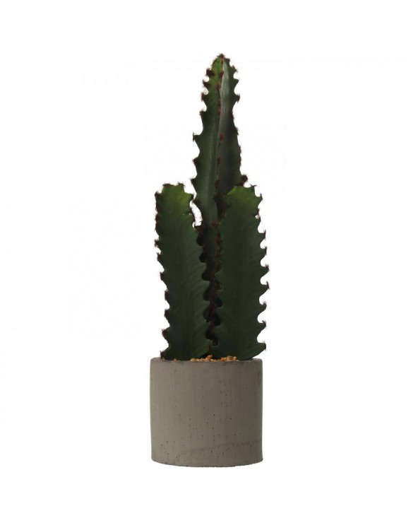 Cactus artificial con maceta cemento pu Ø12x44 maceta: Ø12x10 29970 - 1